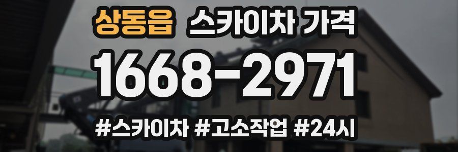 상동읍 스카이차 가격