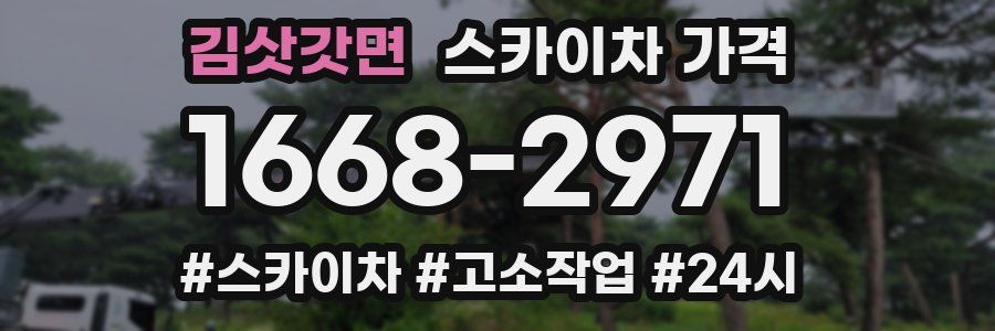 김삿갓면 스카이차 가격