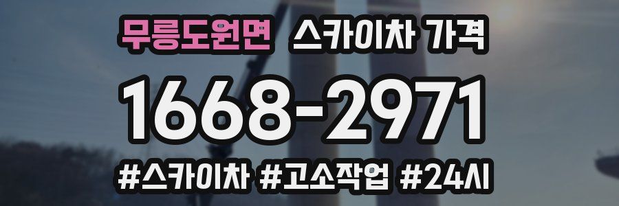 무릉도원면 스카이차 가격