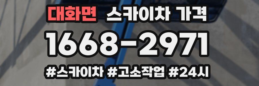 대화면 스카이차 가격