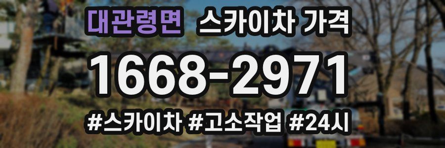 대관령면 스카이차 가격