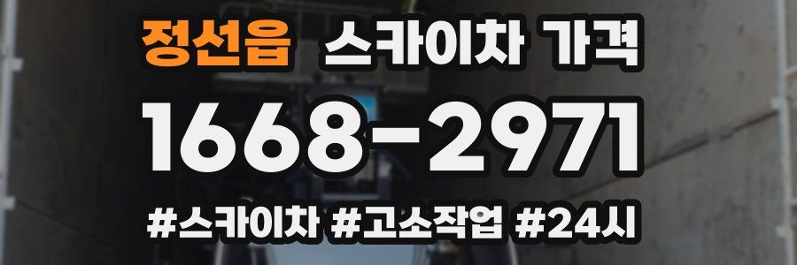 정선읍 스카이차 가격