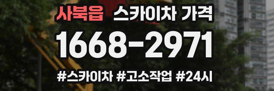 사북읍 스카이차 가격