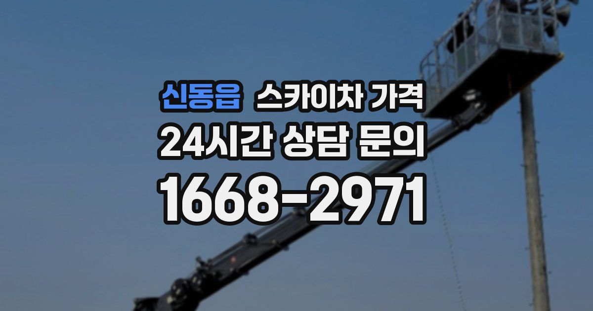 신동읍 스카이차 가격