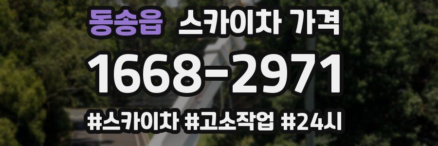 동송읍 스카이차 가격