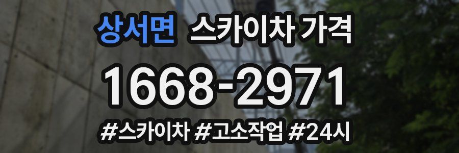 상서면 스카이차 가격