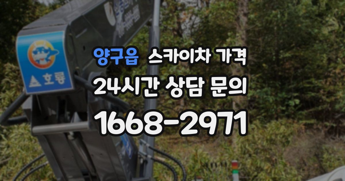 양구읍 스카이차 가격