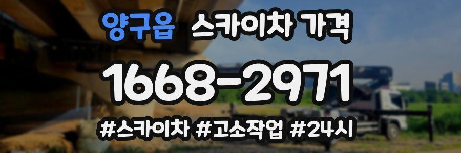 양구읍 스카이차 가격