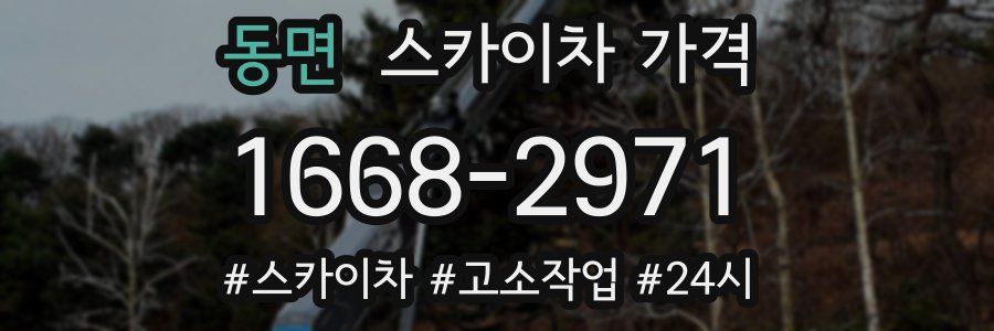 동면 스카이차 가격