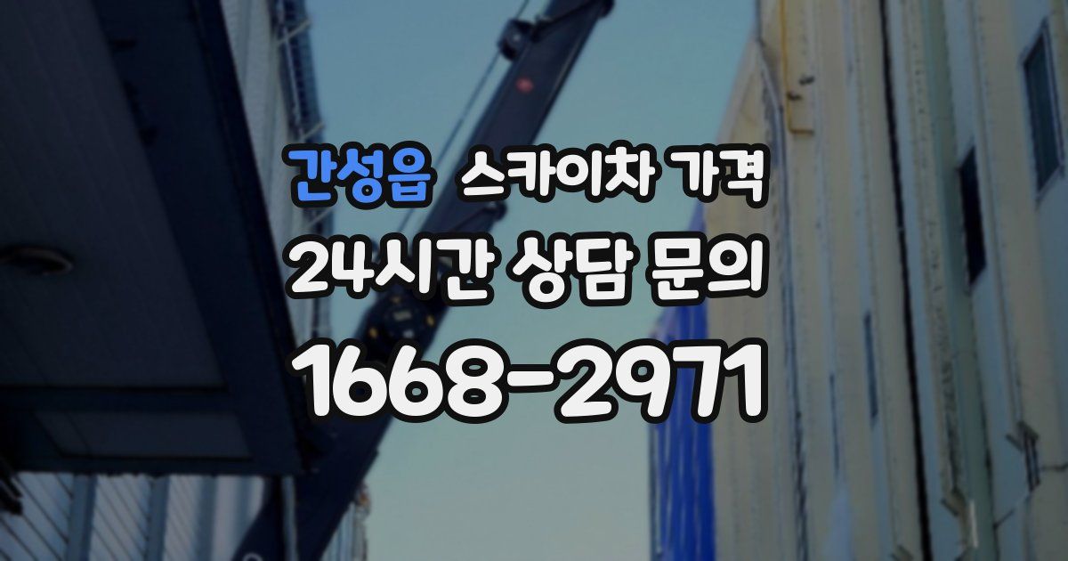 간성읍 스카이차 가격