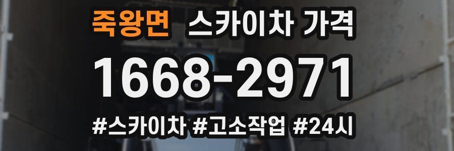 죽왕면 스카이차 가격