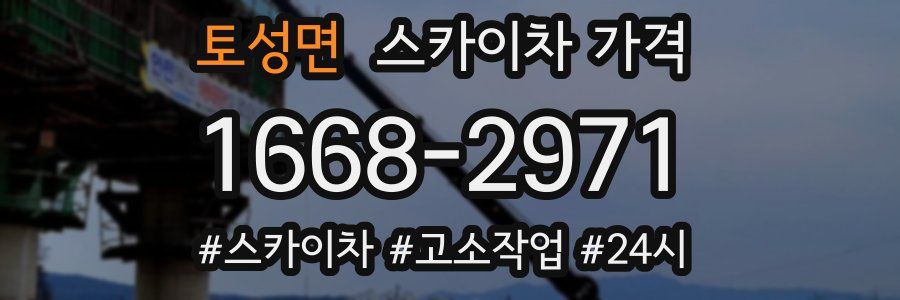 토성면 스카이차 가격