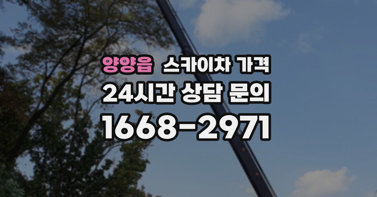 양양읍 스카이차 가격