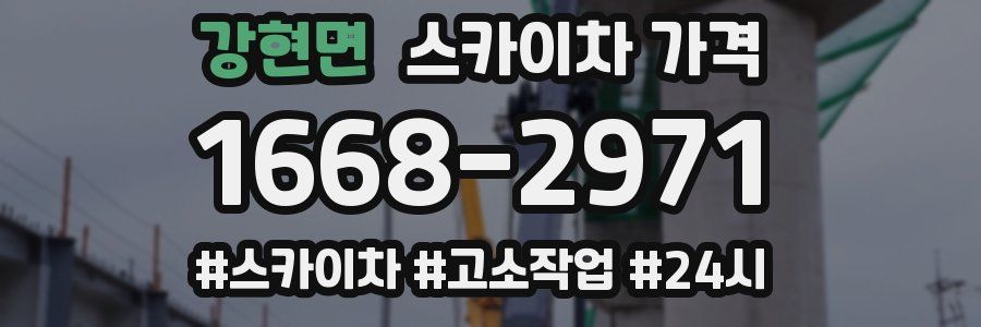 강현면 스카이차 가격