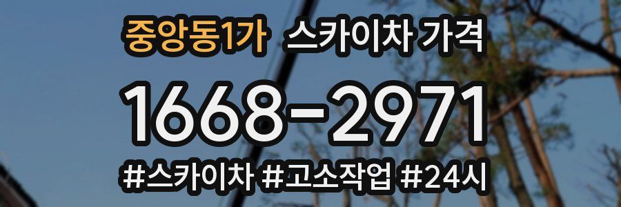 중앙동1가 스카이차 가격