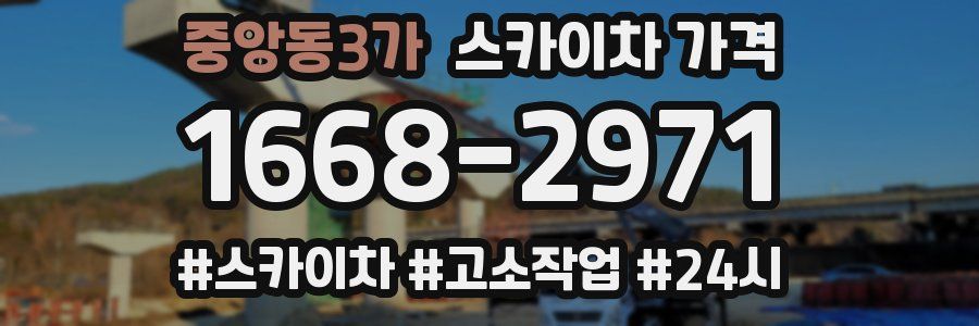 중앙동3가 스카이차 가격