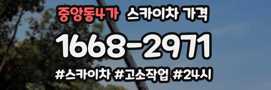중앙동4가 스카이차 가격