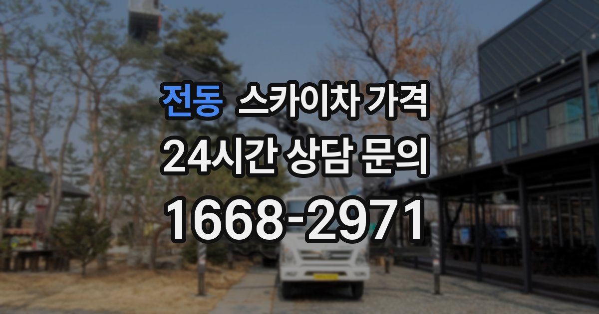 전동 스카이차 가격