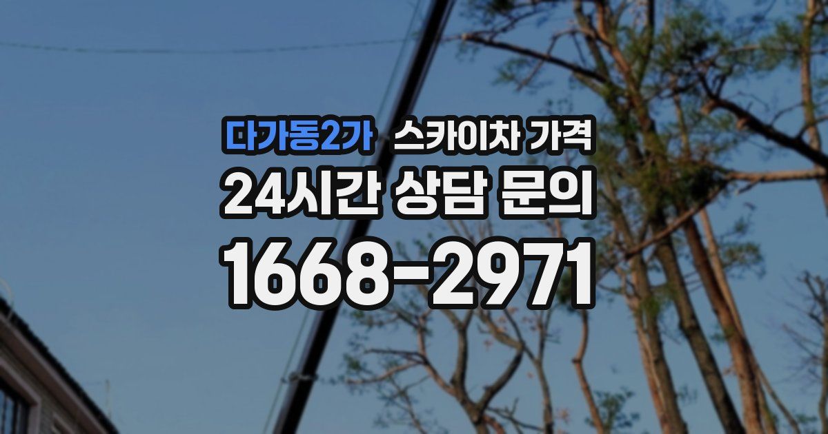 다가동2가 스카이차 가격