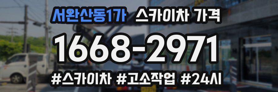 서완산동1가 스카이차 가격