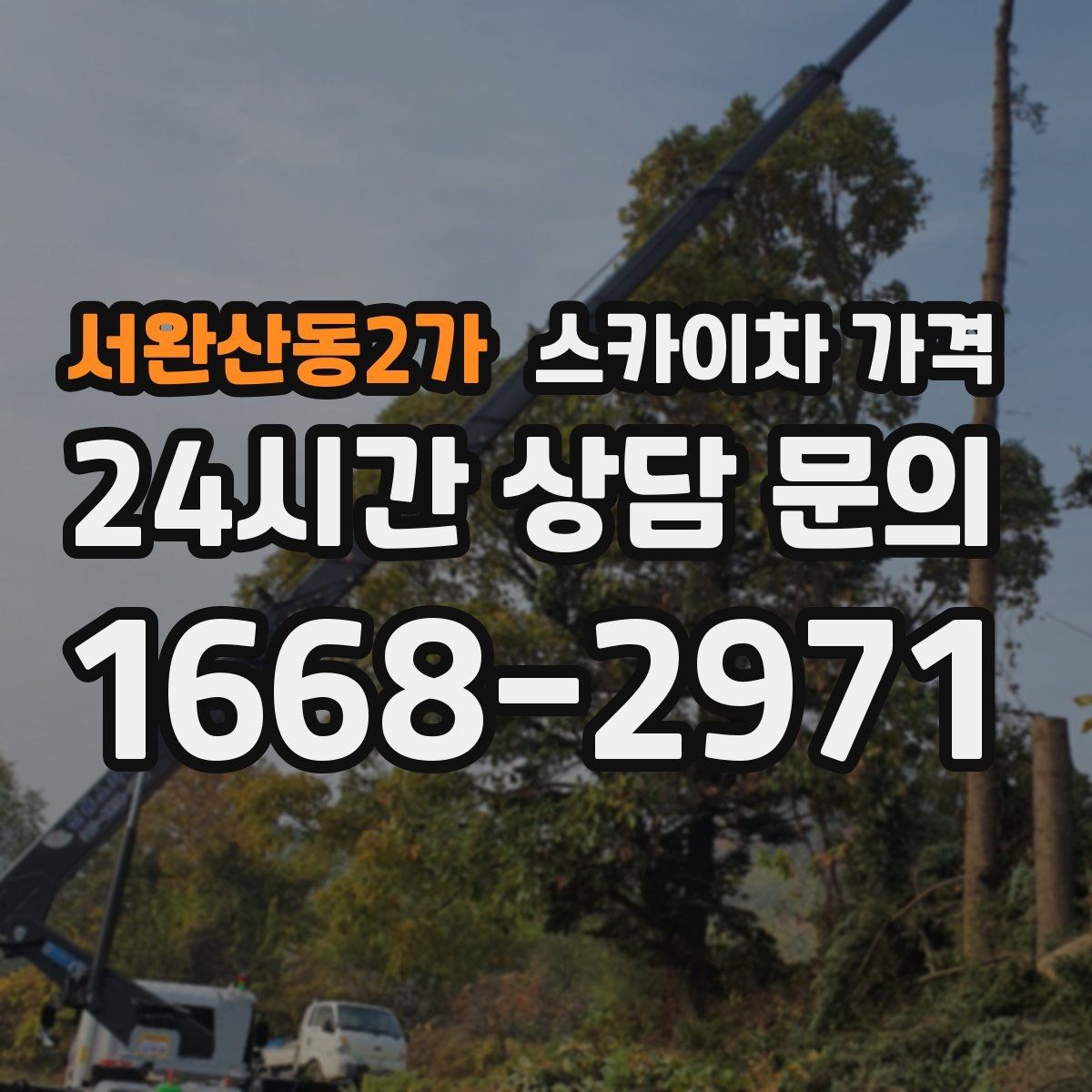 서완산동2가 스카이차 가격 통행량 많은 구간 작업의 현실적인 포인트