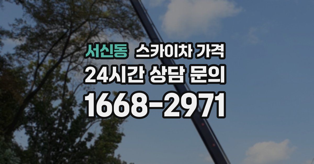 서신동 스카이차 가격