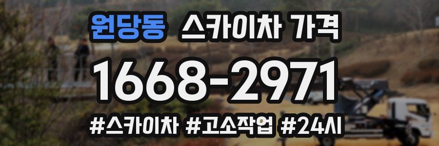 원당동 스카이차 가격