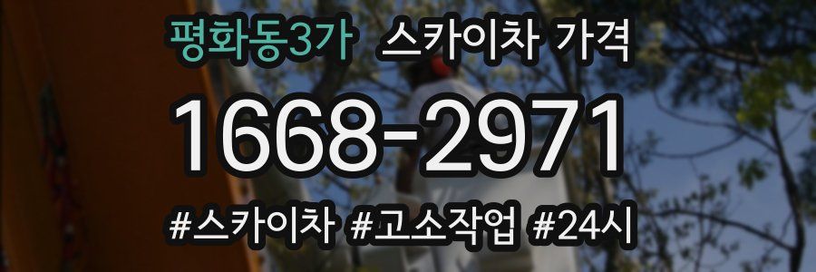 평화동3가 스카이차 가격