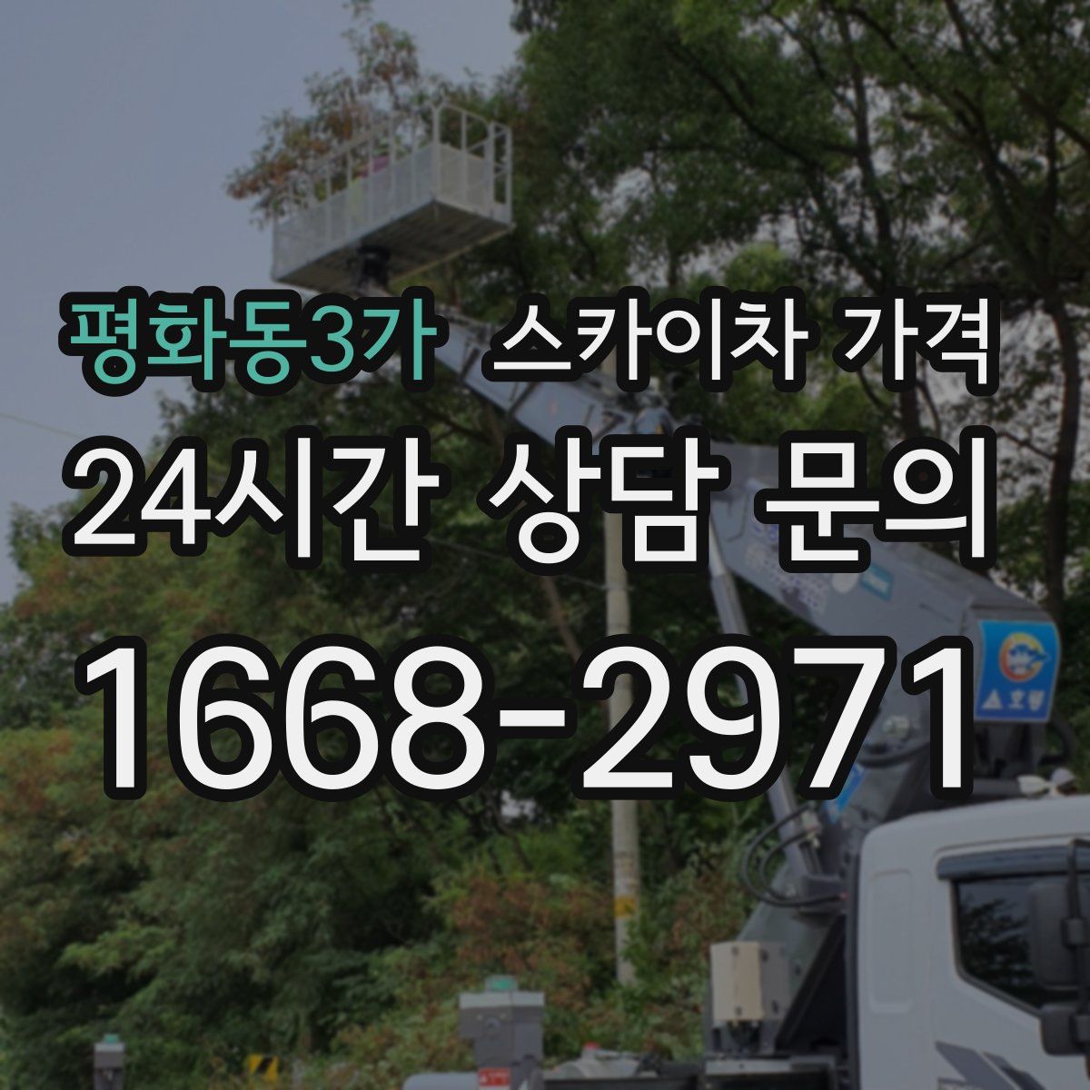 평화동3가 스카이차 가격