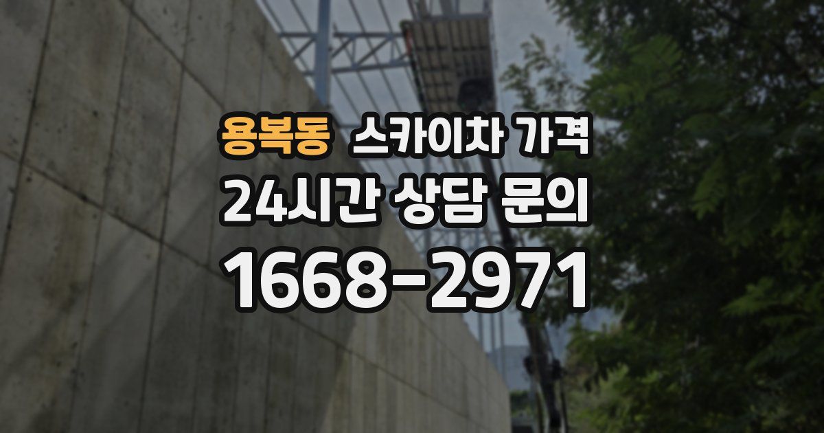용복동 스카이차 가격