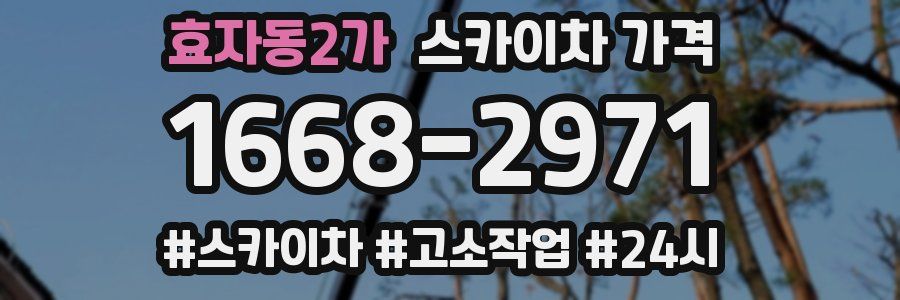 효자동2가 스카이차 가격