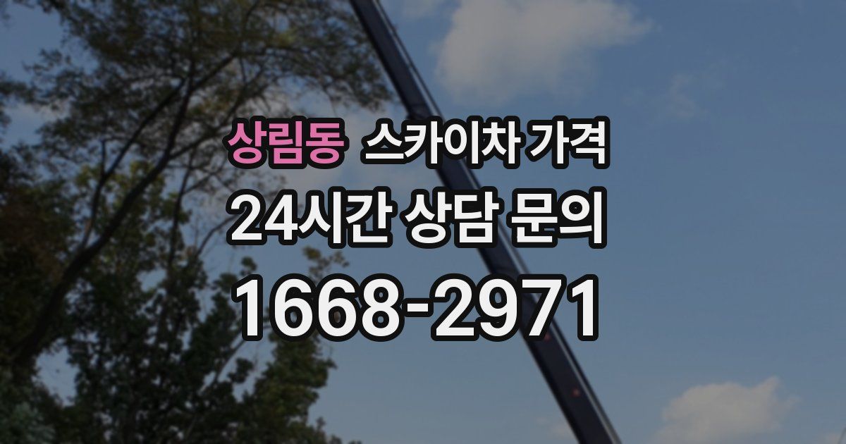 상림동 스카이차 가격