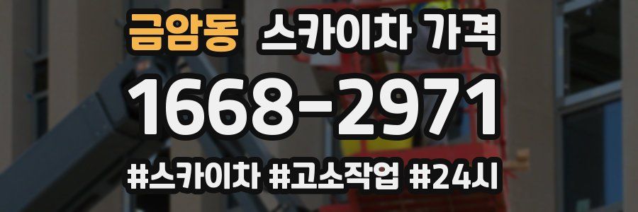 금암동 스카이차 가격