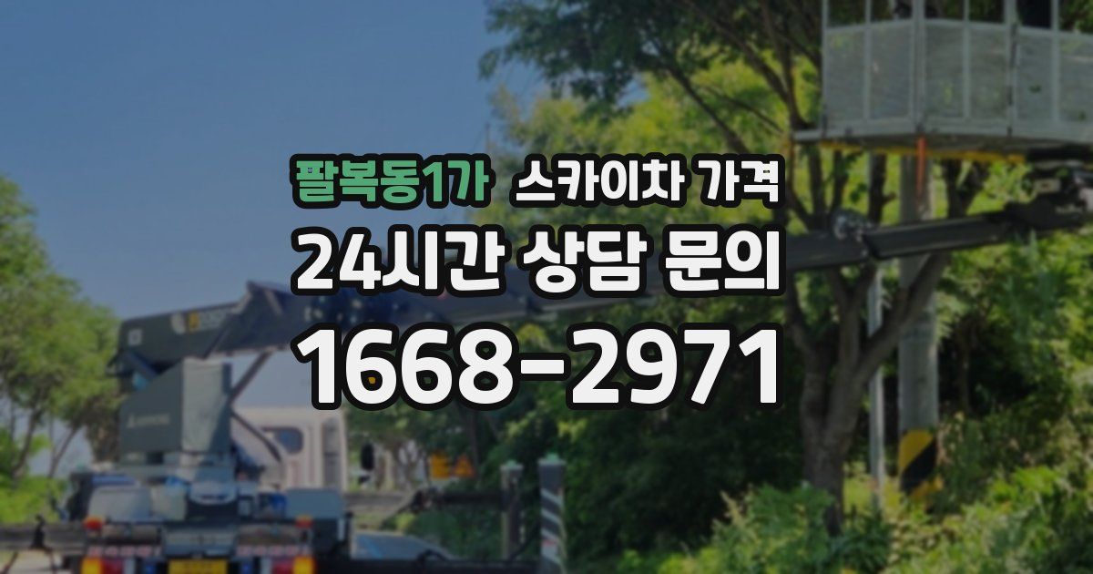 팔복동1가 스카이차 가격