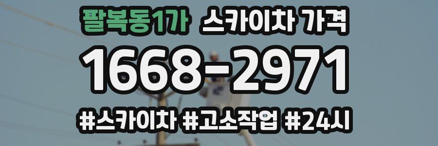 팔복동1가 스카이차 가격