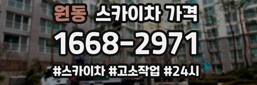 원동 스카이차 가격