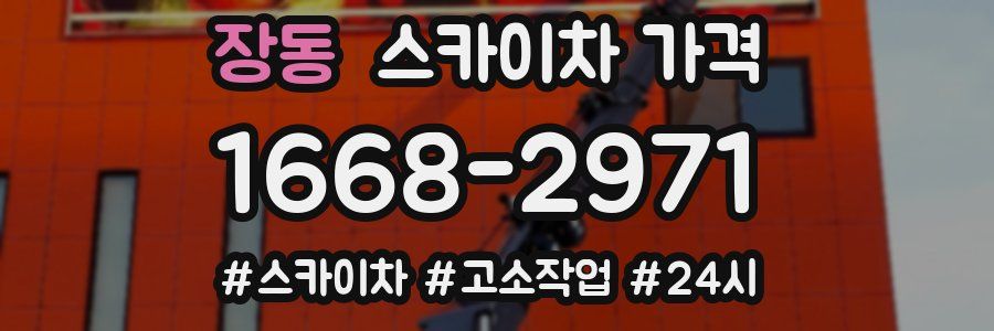 장동 스카이차 가격