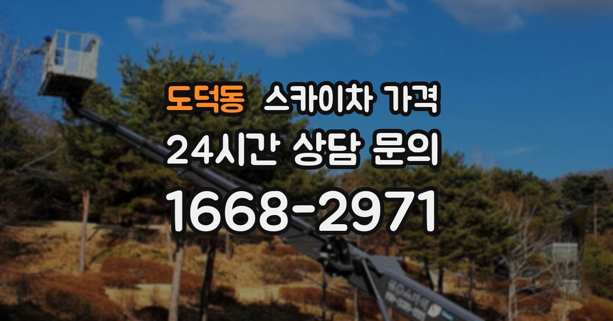 도덕동 스카이차 가격