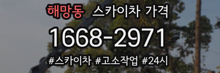 해망동 스카이차 가격