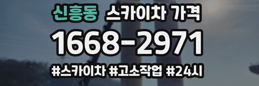 신흥동 스카이차 가격