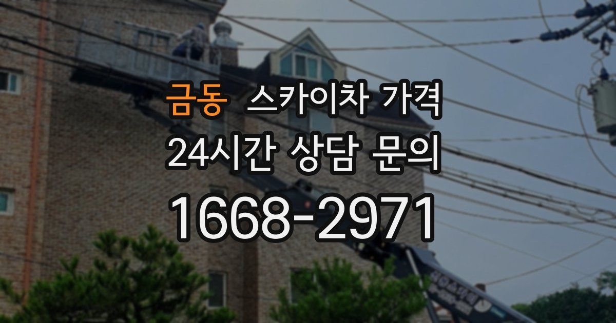 금동 스카이차 가격