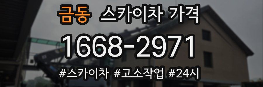 금동 스카이차 가격