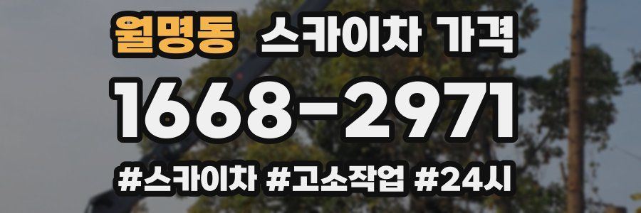 월명동 스카이차 가격