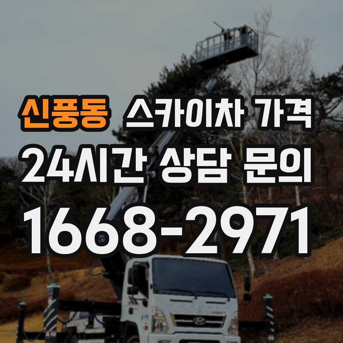 신풍동 스카이차 가격