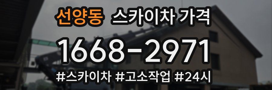 선양동 스카이차 가격