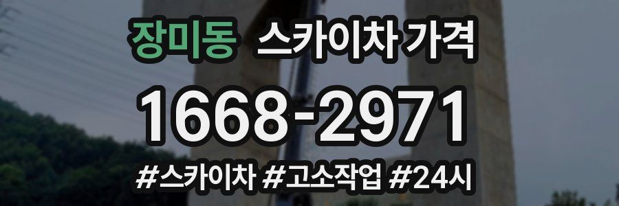 장미동 스카이차 가격