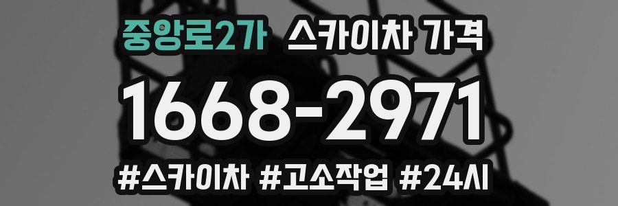 중앙로2가 스카이차 가격