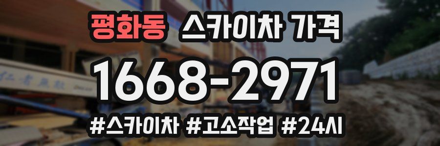 평화동 스카이차 가격