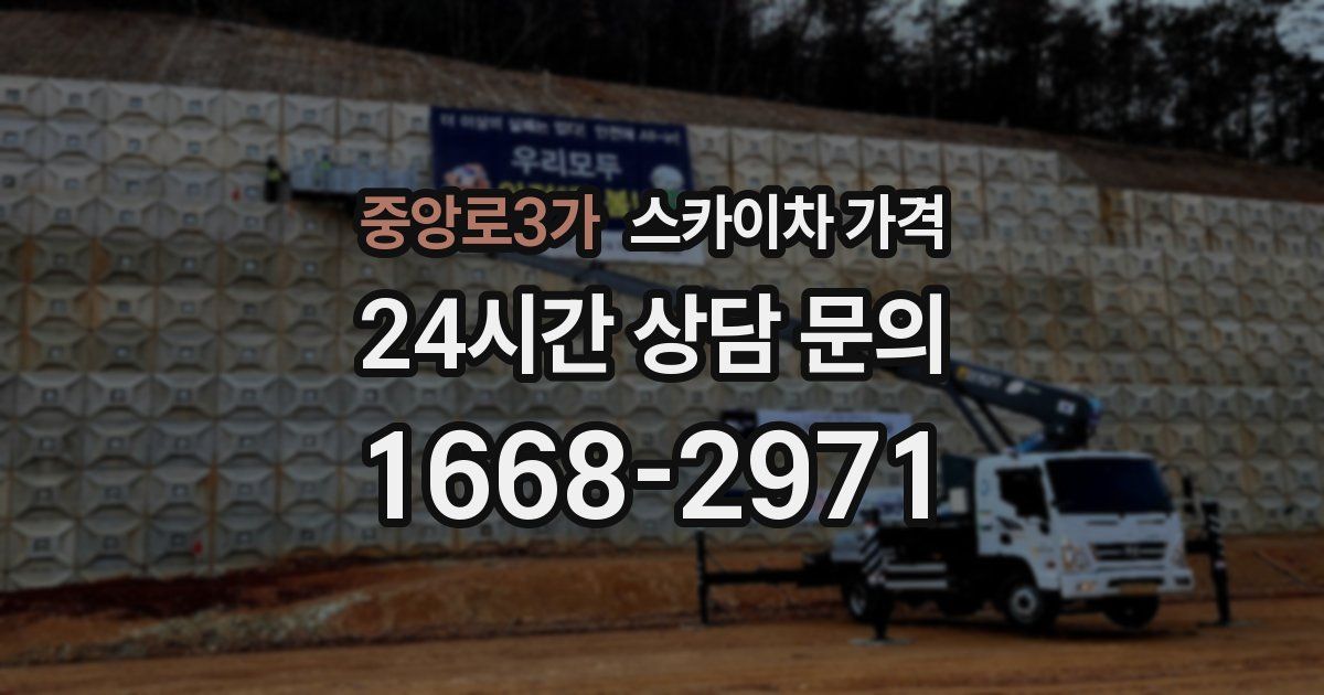중앙로3가 스카이차 가격