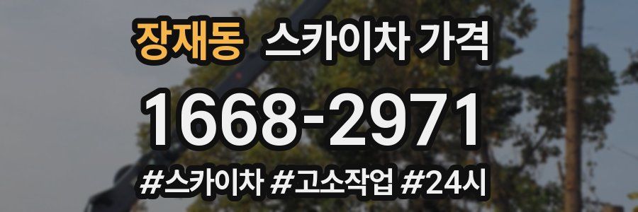 장재동 스카이차 가격